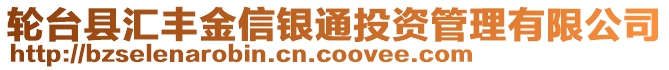 轮台县汇丰金信银通投资管理有限公司