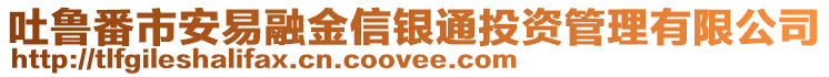 吐魯番市安易融金信銀通投資管理有限公司