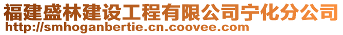 福建盛林建设工程有限公司宁化分公司