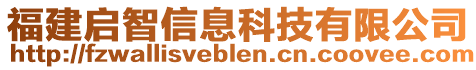 福建啟智信息科技有限公司