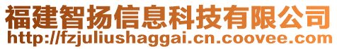 福建智揚信息科技有限公司