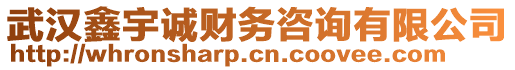 武漢鑫宇誠(chéng)財(cái)務(wù)咨詢有限公司