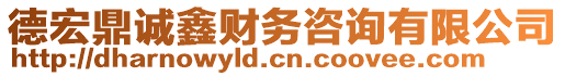 德宏鼎誠鑫財(cái)務(wù)咨詢有限公司