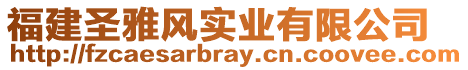 福建圣雅風實業(yè)有限公司