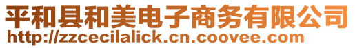 平和縣和美電子商務有限公司
