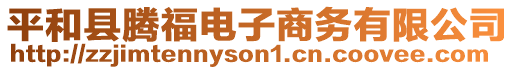 平和縣騰福電子商務(wù)有限公司