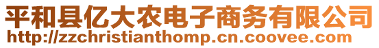 平和縣億大農(nóng)電子商務(wù)有限公司