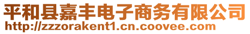 平和縣嘉豐電子商務(wù)有限公司