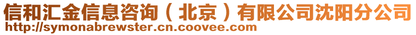 信和匯金信息咨詢（北京）有限公司沈陽分公司