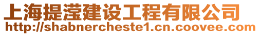 上海提瀅建設(shè)工程有限公司