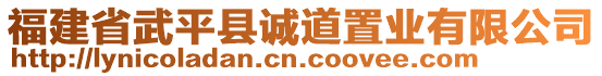 福建省武平縣誠(chéng)道置業(yè)有限公司