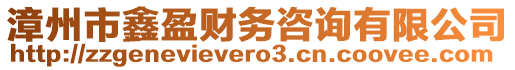 漳州市鑫盈財務(wù)咨詢有限公司