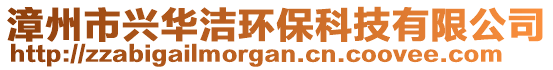 漳州市兴华洁环保科技有限公司