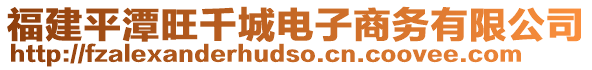福建平潭旺千城電子商務(wù)有限公司