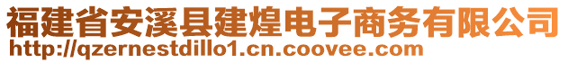 福建省安溪縣建煌電子商務(wù)有限公司