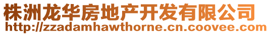 株洲龍華房地產(chǎn)開發(fā)有限公司