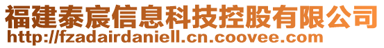 福建泰宸信息科技控股有限公司