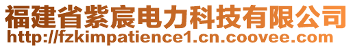 福建省紫宸電力科技有限公司