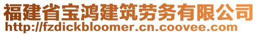 福建省寶鴻建筑勞務(wù)有限公司