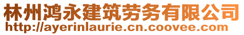 林州鴻永建筑勞務(wù)有限公司