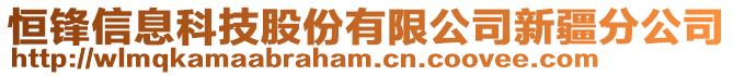 恒鋒信息科技股份有限公司新疆分公司