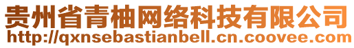 貴州省青柚網(wǎng)絡(luò)科技有限公司