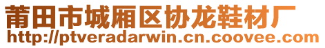 莆田市城廂區(qū)協(xié)龍鞋材廠