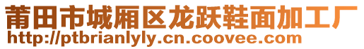 莆田市城廂區(qū)龍躍鞋面加工廠