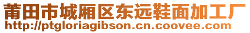 莆田市城廂區(qū)東遠(yuǎn)鞋面加工廠