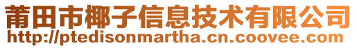 莆田市椰子信息技術(shù)有限公司