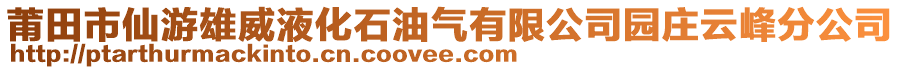 莆田市仙游雄威液化石油氣有限公司園莊云峰分公司