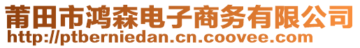 莆田市鴻森電子商務(wù)有限公司