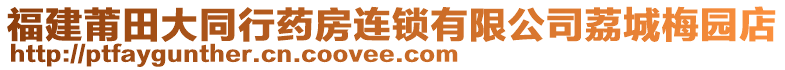 福建莆田大同行藥房連鎖有限公司荔城梅園店