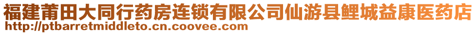 福建莆田大同行藥房連鎖有限公司仙游縣鯉城益康醫藥店