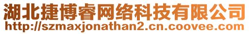 湖北捷博睿網絡科技有限公司