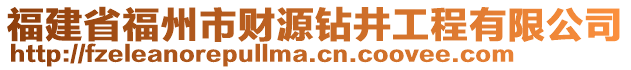 福建省福州市財源鉆井工程有限公司