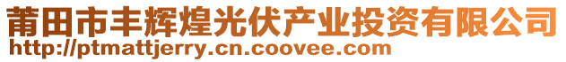 莆田市丰辉煌光伏产业投资有限公司