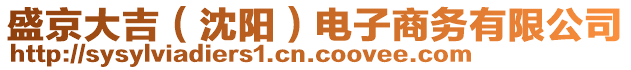 盛京大吉（沈陽）電子商務(wù)有限公司