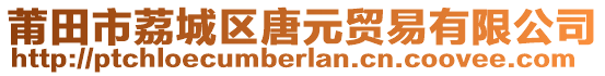 莆田市荔城區唐元貿易有限公司