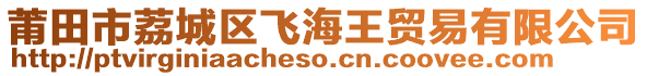 莆田市荔城區飛海王貿易有限公司