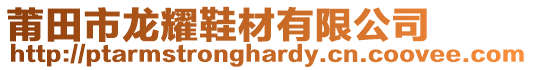 莆田市龍耀鞋材有限公司