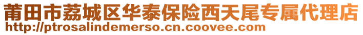 莆田市荔城區(qū)華泰保險西天尾專屬代理店