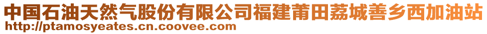 中國(guó)石油天然氣股份有限公司福建莆田荔城善鄉(xiāng)西加油站