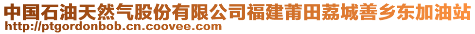 中国石油天然气股份有限公司福建莆田荔城善乡东加油站