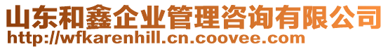 山東和鑫企業(yè)管理咨詢有限公司