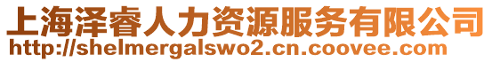 上海澤睿人力資源服務(wù)有限公司