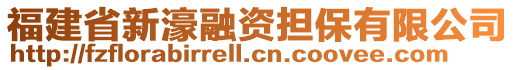 福建省新濠融資擔(dān)保有限公司