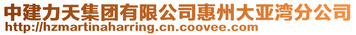 中建力天集團(tuán)有限公司惠州大亞灣分公司