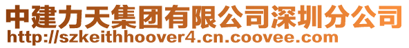 中建力天集團(tuán)有限公司深圳分公司