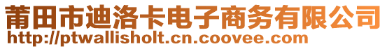 莆田市迪洛卡電子商務(wù)有限公司